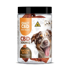 CBD for Pets